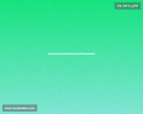 山西体育赛事山西省二零二四年大型体育赛事激情启动展现运动魅力促进全民健身事业发展